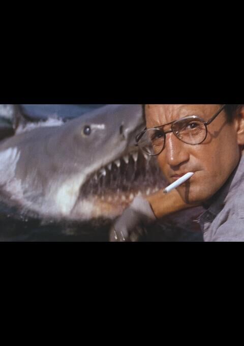 Jaws